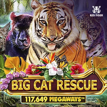 Redtiger : Big Cat Rescue Megaways - STOREBET77