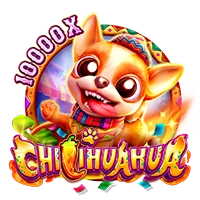 Facai : CHILIHUAHUA - STOREBET77