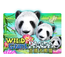 Joker123 : Wild Giant Panda - STOREBET77