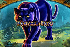 Playtech : Panther Pays - STOREBET77